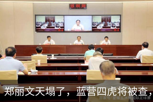 郑丽文天塌了，蓝营四虎将被查，蔡英文接力出山：两地要沦陷了？